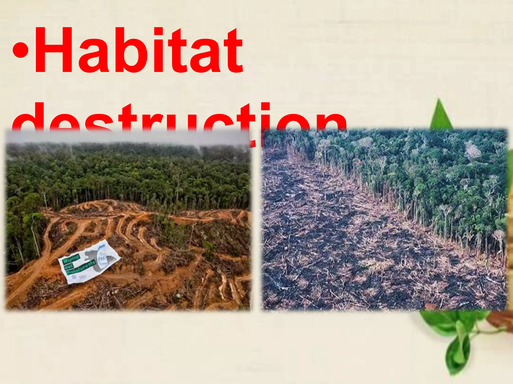 •Habitat
destruction
 