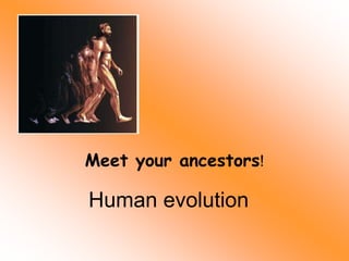 Human evolution
Meet your ancestors!
 