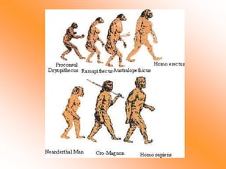 human-evolution.pptx