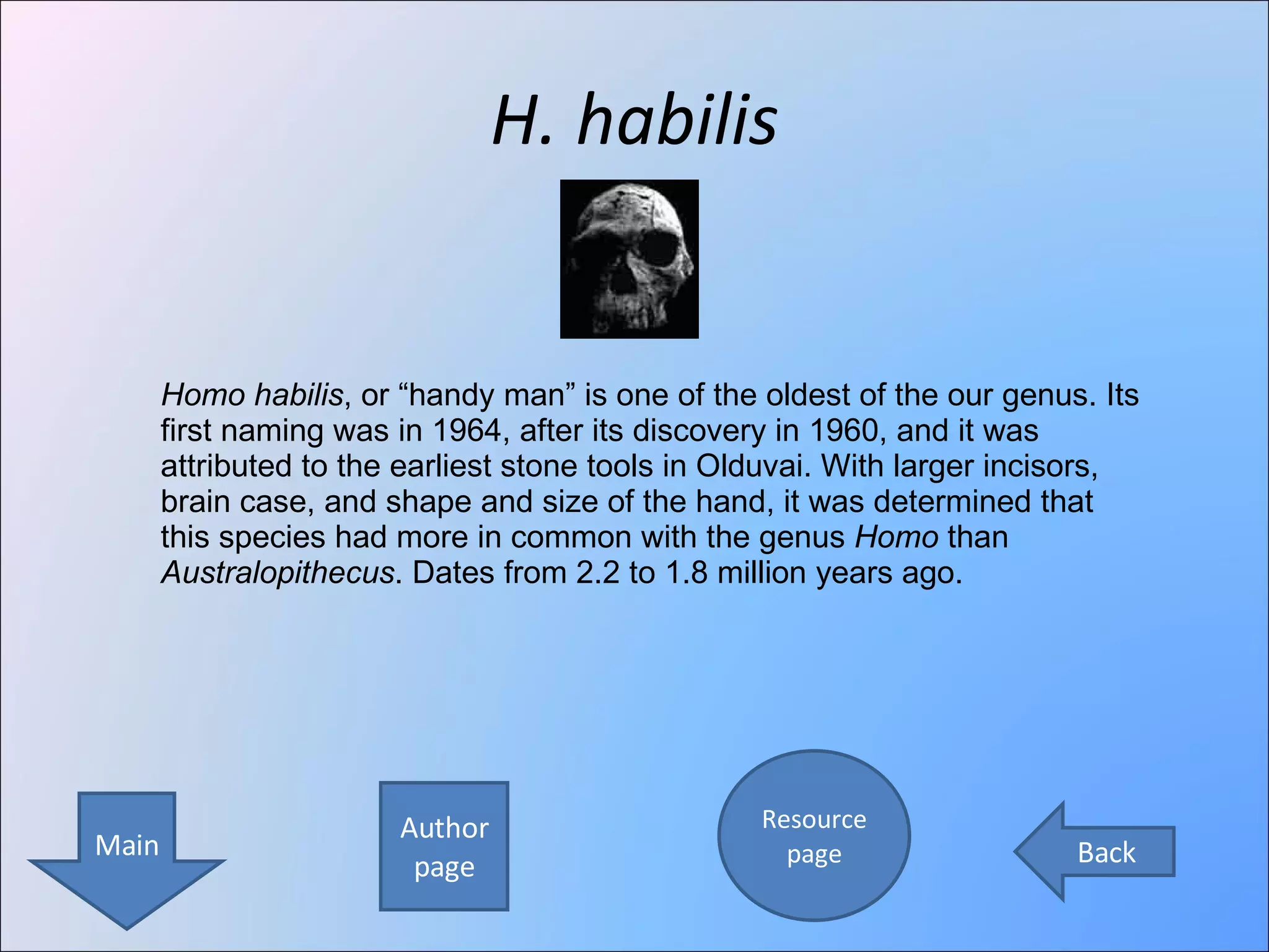 H. habilis Back Author page Resource page Main Homo habilis , or “handy man” is one of the oldest of the our genus. Its first naming was in 1964, after its discovery in 1960, and it was attributed to the earliest stone tools in Olduvai. With larger incisors, brain case, and shape and size of the hand, it was determined that this species had more in common with the genus  Homo  than  Australopithecus . Dates from 2.2 to 1.8 million years ago.  