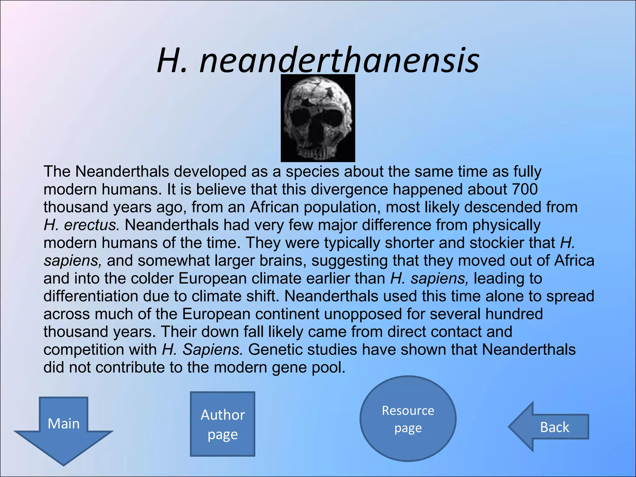 H. neanderthanensis Author page Resource page Main Back The Neanderthals developed as a species about the same time as fully modern humans. It is believe that this divergence happened about 700 thousand years ago, from an African population, most likely descended from  H. erectus.  Neanderthals had very few major difference from physically modern humans of the time. They were typically shorter and stockier that  H. sapiens,  and somewhat larger brains, suggesting that they moved out of Africa and into the colder European climate earlier than  H. sapiens,  leading to differentiation due to climate shift. Neanderthals used this time alone to spread across much of the European continent unopposed for several hundred thousand years. Their down fall likely came from direct contact and competition with  H. Sapiens.  Genetic studies have shown that Neanderthals did not contribute to the modern gene pool. 