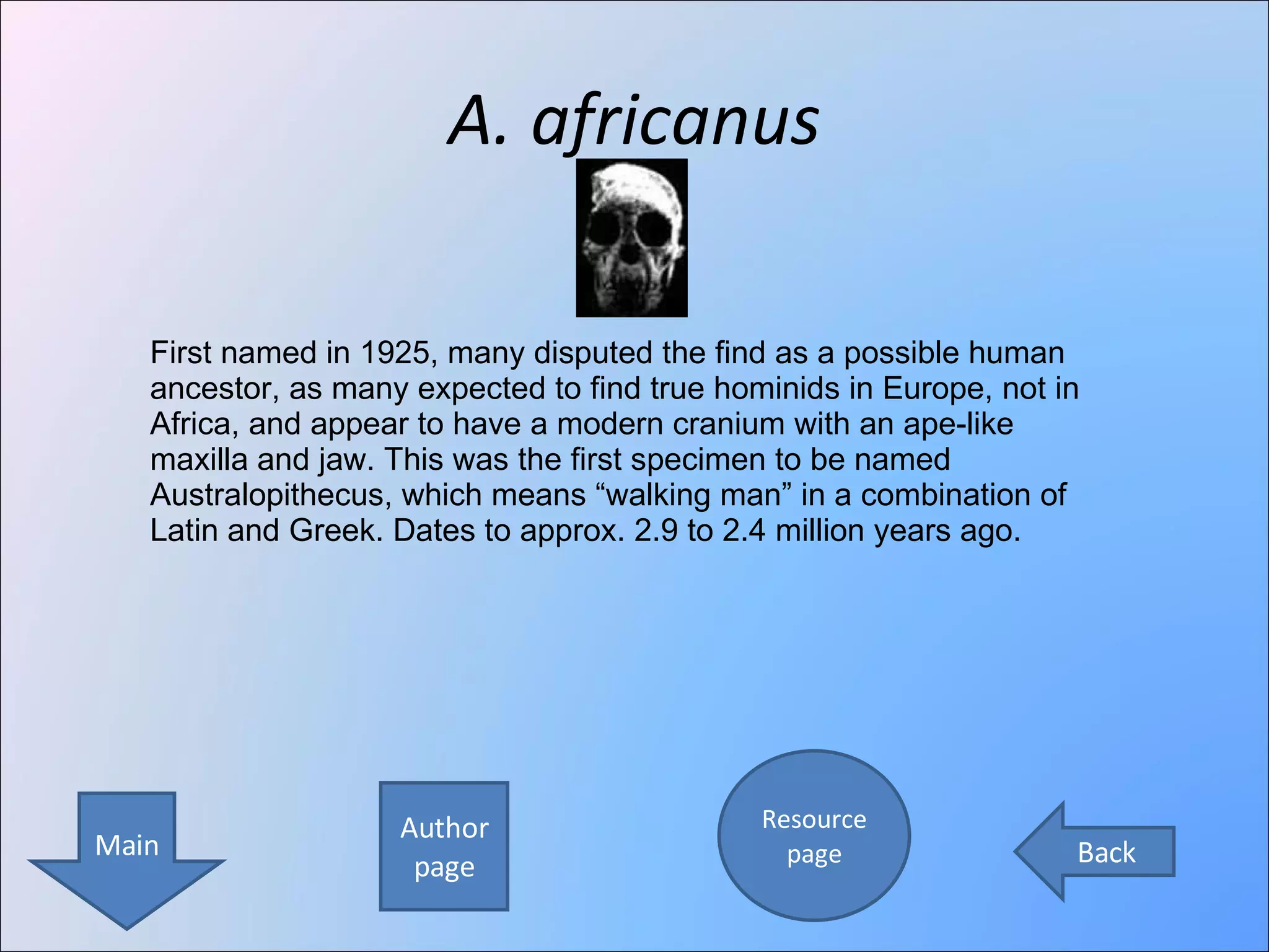 A. africanus Author page Resource page Main Back First named in 1925, many disputed the find as a possible human ancestor, as many expected to find true hominids in Europe, not in Africa, and appear to have a modern cranium with an ape-like maxilla and jaw. This was the first specimen to be named Australopithecus, which means “walking man” in a combination of Latin and Greek. Dates to approx. 2.9 to 2.4 million years ago. 