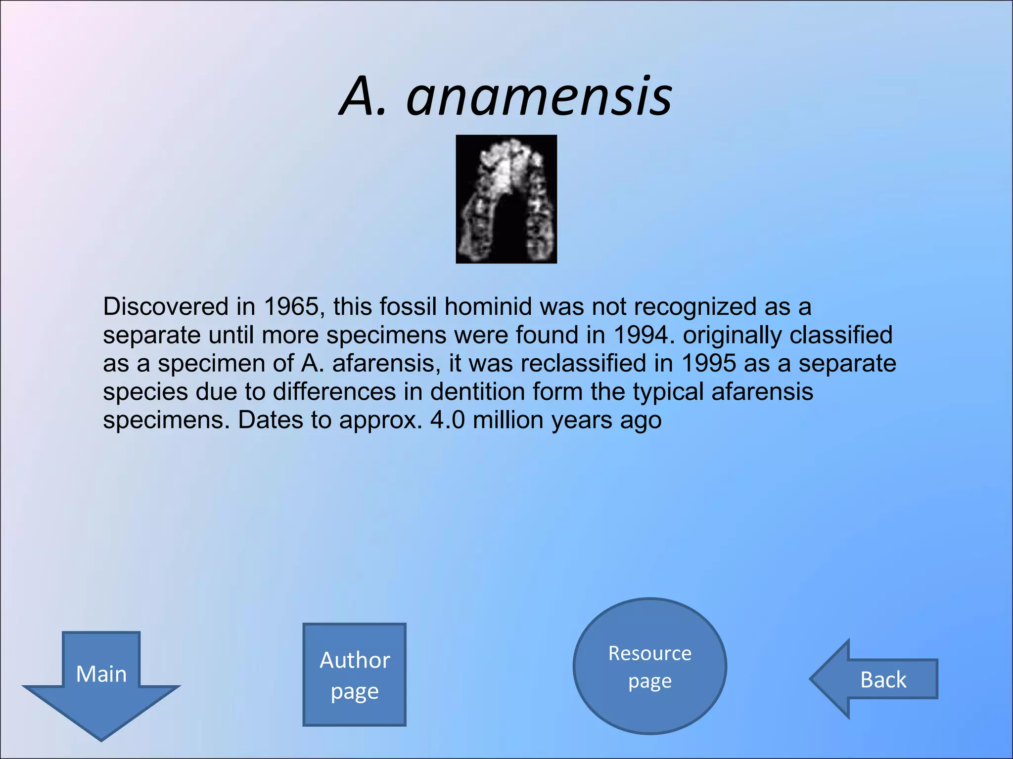A. anamensis Author page Resource page Main Back Discovered in 1965, this fossil hominid was not recognized as a separate until more specimens were found in 1994. originally classified as a specimen of A. afarensis, it was reclassified in 1995 as a separate species due to differences in dentition form the typical afarensis specimens. Dates to approx. 4.0 million years ago 