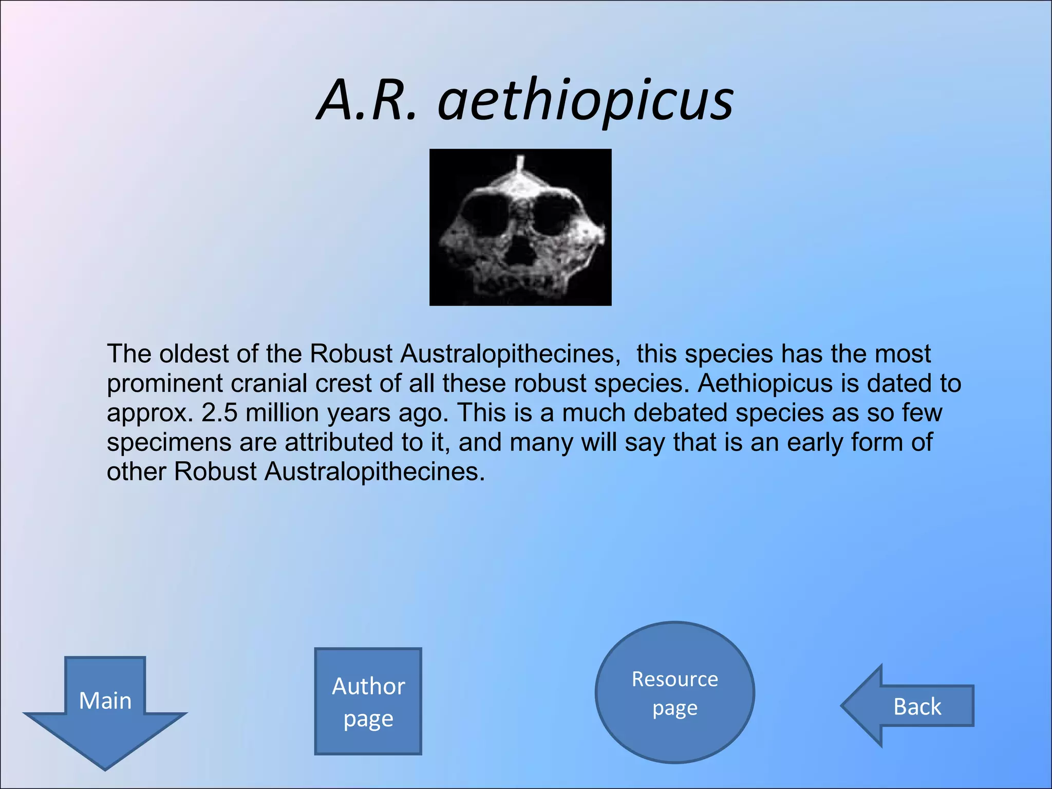 A.R. aethiopicus Author page Resource page Main Back The oldest of the Robust Australopithecines,  this species has the most prominent cranial crest of all these robust species. Aethiopicus is dated to approx. 2.5 million years ago. This is a much debated species as so few specimens are attributed to it, and many will say that is an early form of other Robust Australopithecines.  