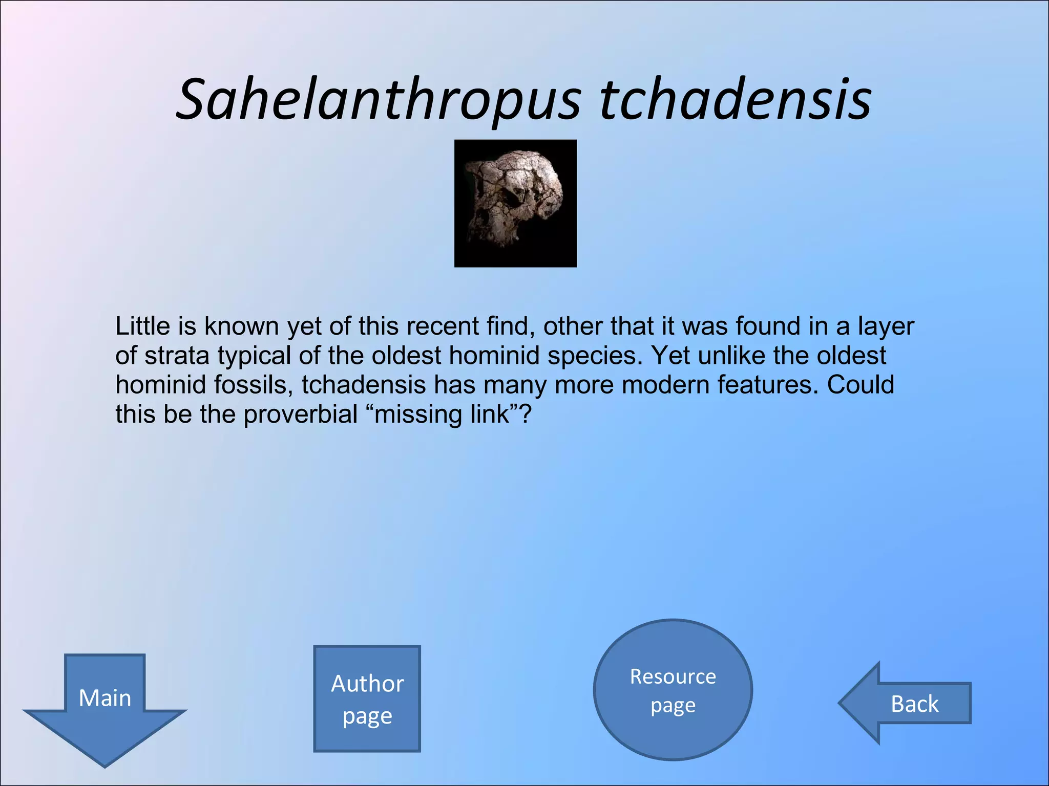 Sahelanthropus tchadensis Author page Resource page Main Back Little is known yet of this recent find, other that it was found in a layer of strata typical of the oldest hominid species. Yet unlike the oldest hominid fossils, tchadensis has many more modern features. Could this be the proverbial “missing link”? 