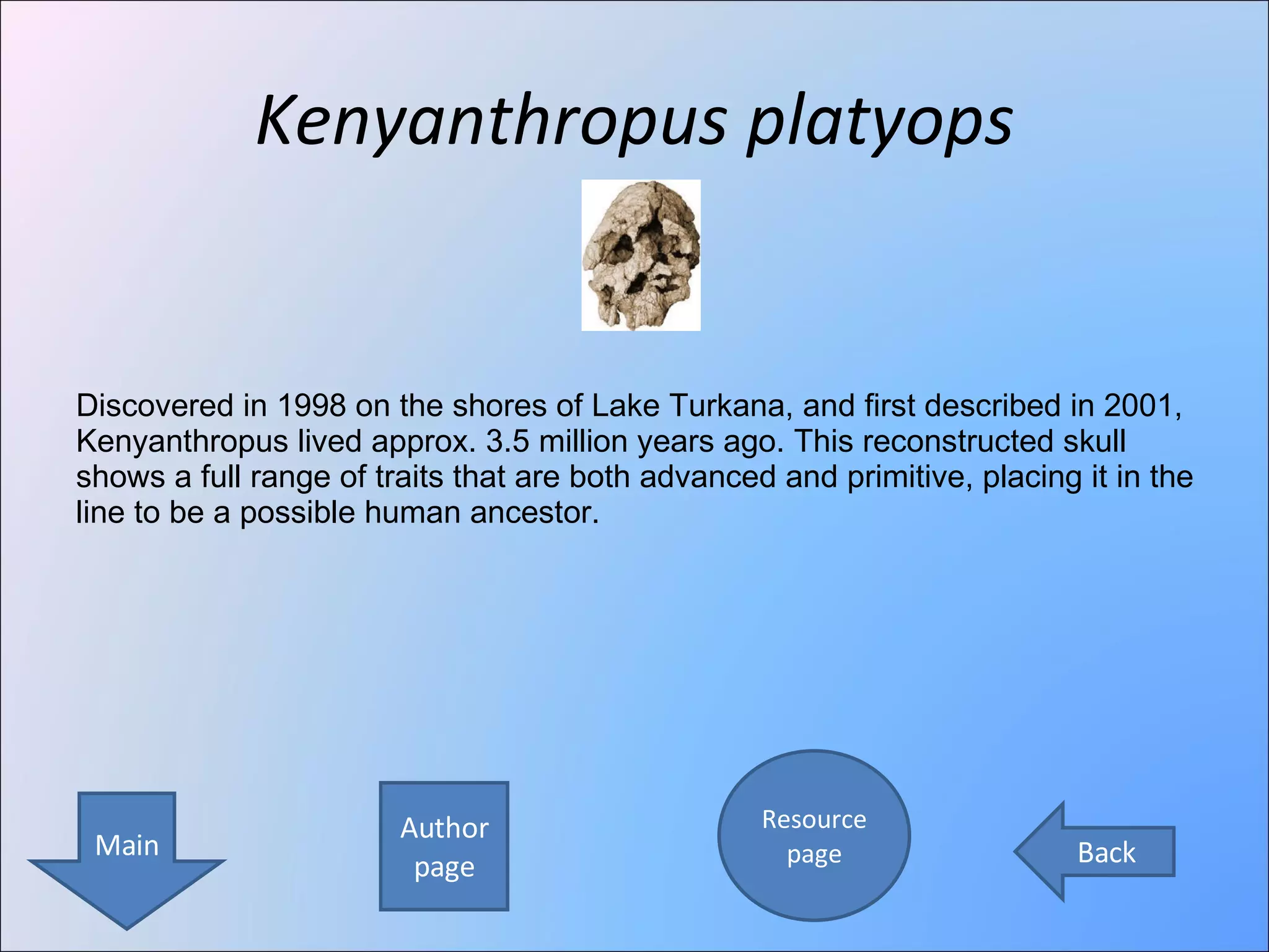 Kenyanthropus platyops Author page Resource page Main Back Discovered in 1998 on the shores of Lake Turkana, and first described in 2001, Kenyanthropus lived approx. 3.5 million years ago. This reconstructed skull shows a full range of traits that are both advanced and primitive, placing it in the line to be a possible human ancestor.  