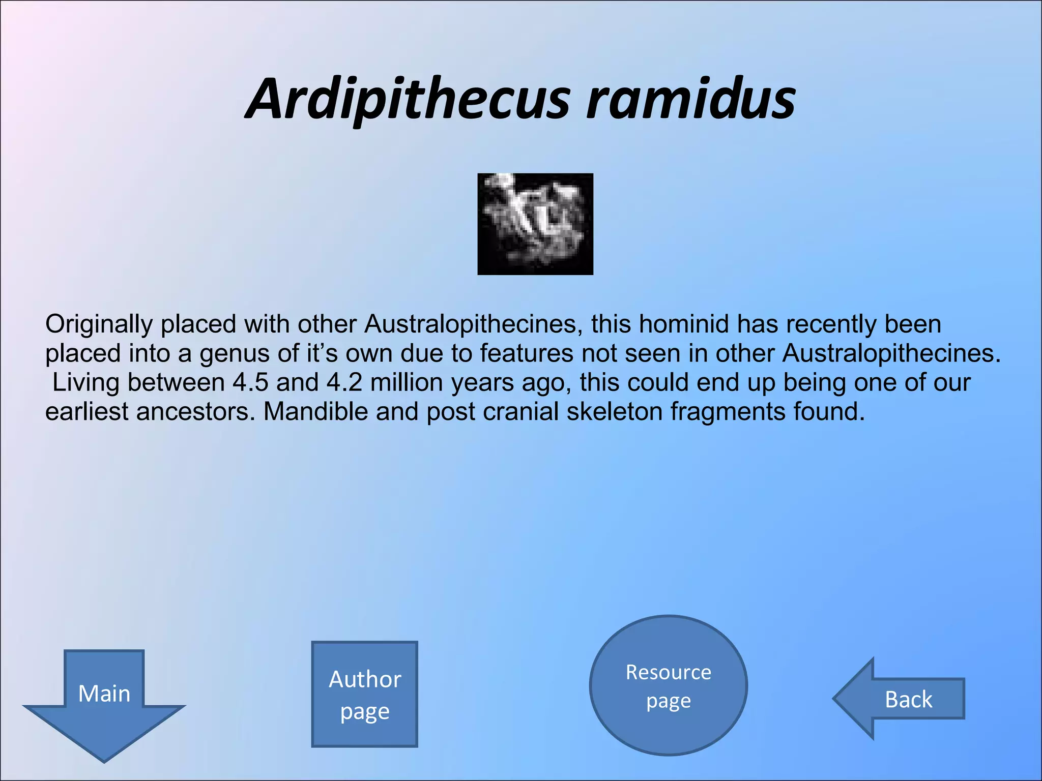 Ardipithecus ramidus Author page Resource page Main Back Originally placed with other Australopithecines, this hominid has recently been placed into a genus of it’s own due to features not seen in other Australopithecines.  Living between 4.5 and 4.2 million years ago, this could end up being one of our earliest ancestors. Mandible and post cranial skeleton fragments found. 