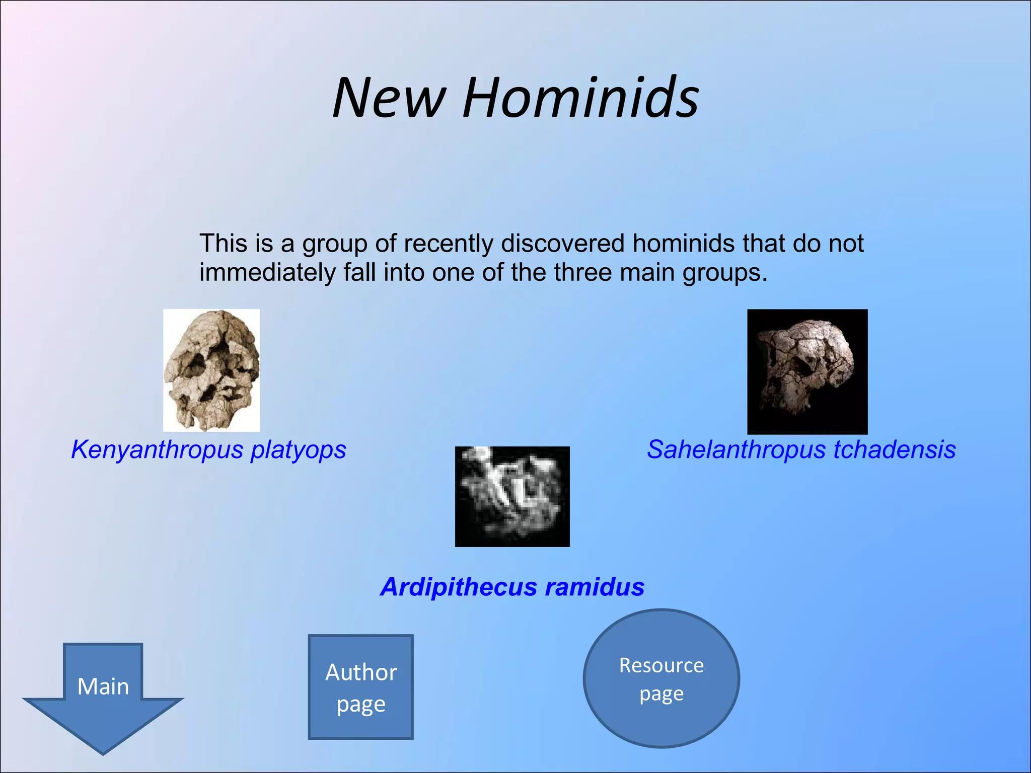 New Hominids Ardipithecus ramidus Kenyanthropus platyops Sahelanthropus tchadensis This is a group of recently discovered hominids that do not immediately fall into one of the three main groups. Author page Resource page Main 