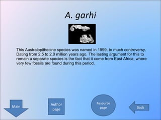 Human Evolution Interactive Powerpoint Presentation | PPT