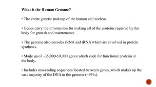 What is the Human Genome?
• The entire genetic makeup of the human cell nucleus.
• Genes carry the information for making all of the proteins required by the
body for growth and maintenance.
• The genome also encodes rRNA and tRNA which are involved in protein
synthesis.
• Made up of ~35,000-50,000 genes which code for functional proteins in
the body.
• Includes non-coding sequences located between genes, which makes up the
vast majority of the DNA in the genome (~95%).
 