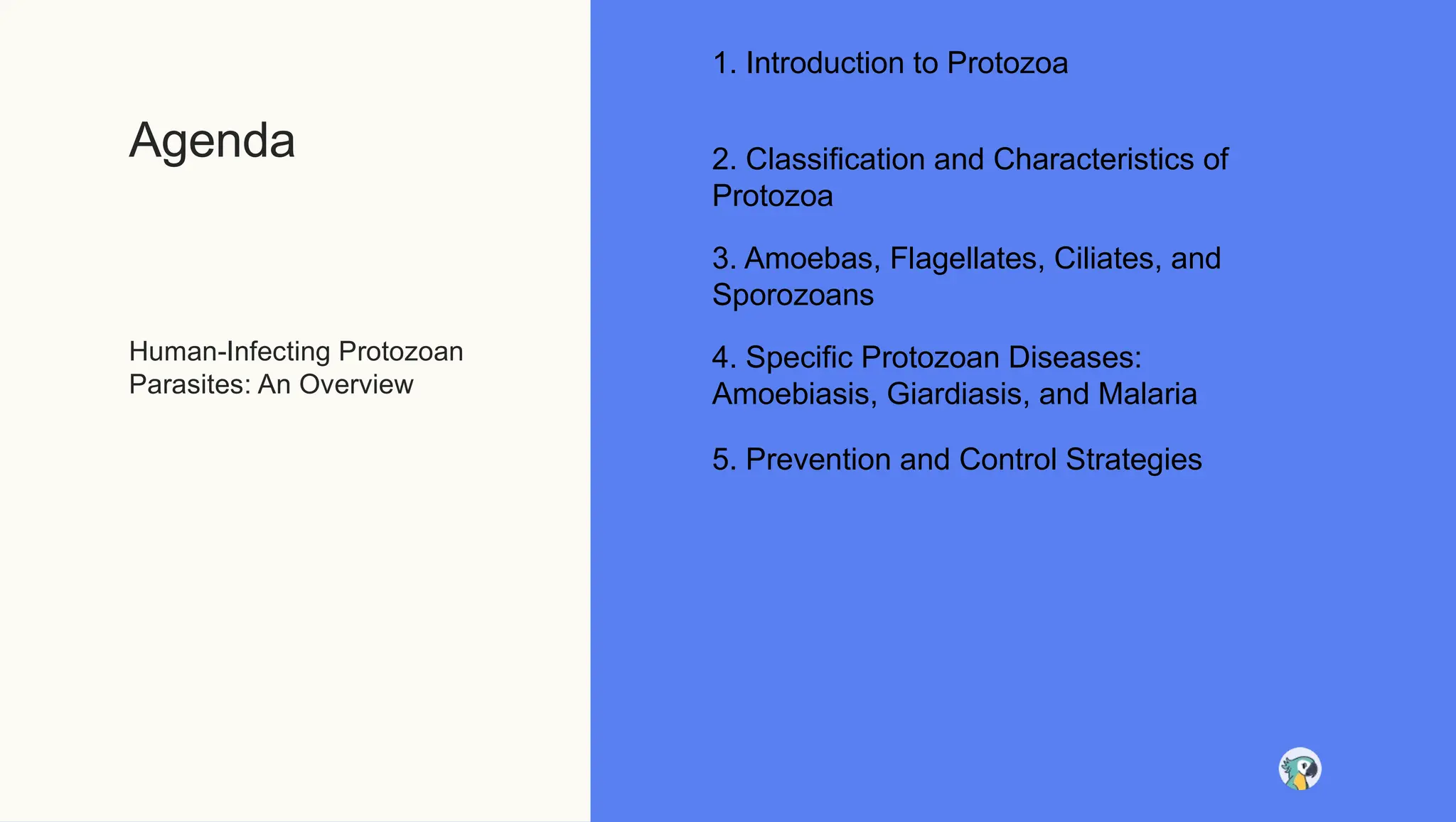 Protozoan Insecticide Human-Infecting_Protozoan_Parasites_An_Overview (1).pptx