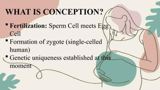 What Is Conception Process Understanding Human Life: From Conception to Early Prenatal Stages | PPTX