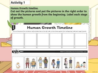 Stages Of Human Life Cycle For Kids