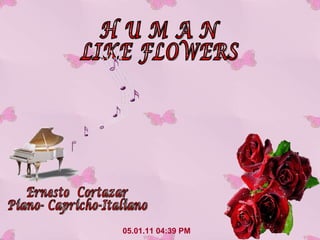 05.01.11   04:33 PM H U M A N LIKE FLOWERS Ernesto  Cortazar Piano- Capricho-Italiano 