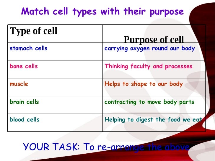 HUMAN LOTTERY - GENETIC TESTING