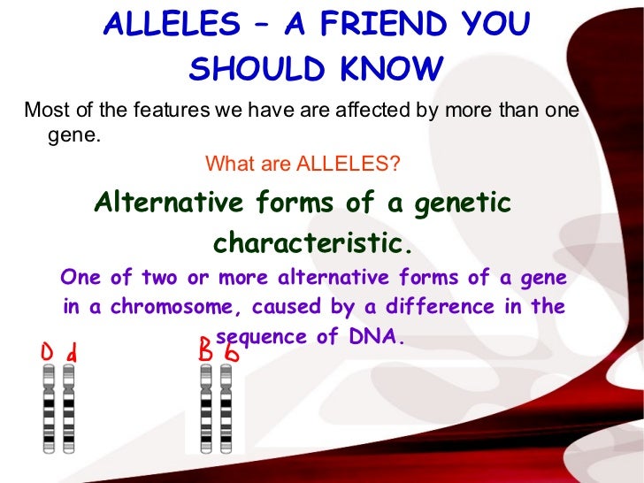 HUMAN LOTTERY - GENETIC TESTING