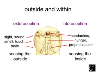 The Human perception & Overview | PPT