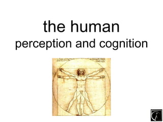 the human
perception and cognition
 