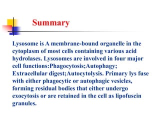 Summary
Lysosome is A membrane-bound organelle in the
cytoplasm of most cells containing various acid
hydrolases. Lysosomes are involved in four major
cell functions:Phagocytosis;Autophagy;
Extracellular digest;Autocytolysis. Primary lys fuse
with either phagocytic or autophagic vesicles,
forming residual bodies that either undergo
exocytosis or are retained in the cell as lipofuscin
granules.
 