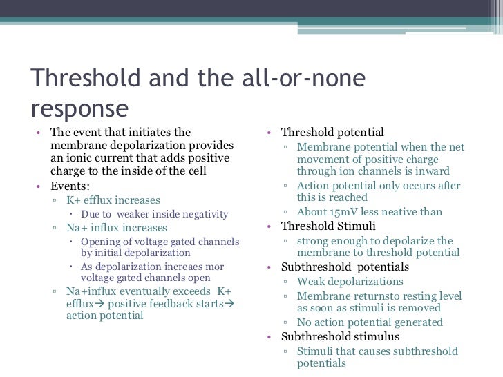 Human Physiology Part 4