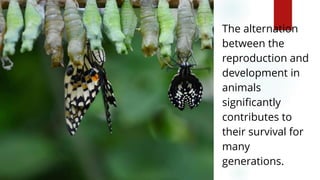 The alternation
between the
reproduction and
development in
animals
significantly
contributes to
their survival for
many
generations.
3
 