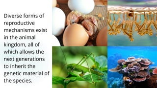 Diverse forms of
reproductive
mechanisms exist
in the animal
kingdom, all of
which allows the
next generations
to inherit the
genetic material of
the species.
4
 