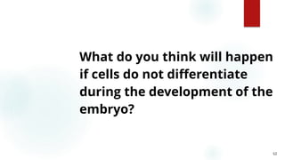53
What do you think will happen
if cells do not differentiate
during the development of the
embryo?
 