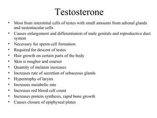 Testosterone
• Most from interstitial cells of testes with small amounts from adrenal glands
and sustentacular cells
• Causes enlargement and differentiation of male genitals and reproductive duct
system
• Necessary for sperm cell formation
• Required for descent of testes
• Hair growth on certain parts of the body
• Skin is rougher and coarser
• Quantity of melanin increases
• Increases rate of secretion of sebaceous glands
• Hypertrophy of larynx
• Increases metabolic rate
• Increases red blood cell count
• Increases protein synthesis, rapid bone growth
• Causes closure of epiphyseal plates
 
