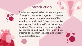 Comprehensive Overview of the Human Reproductive System and Menstrual ...