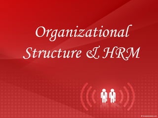 Organizational Structure & HRM 