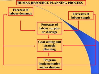 HUMAN RESOURCE PLANNING PROCESS Forecast of labour demands Forecasts of labour supply Forecasts of labour surplus or shortage Goal setting and strategic planning Program implementation and evaluation 
