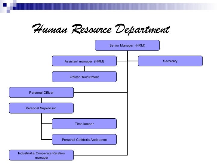 human resource planning in hotel business 9 728