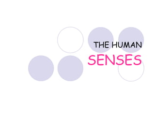 THE HUMAN SENSES 