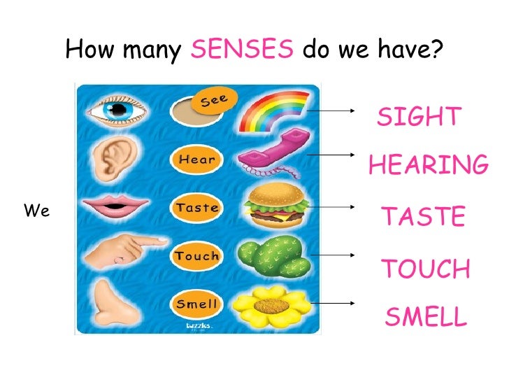 Which way do we ко?. Many sense. Make sense. Пять чувств человека. Many sense.