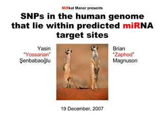 SNPs in the human genome that lie within predicted  miR NA target sites MiR kat Manor presents 19 December, 2007 Yasin “ Yossarian ” Ş enbabaoglu Brian “ Zaphod ” Magnuson . _ 