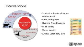 Interventions
• Sanitation & animal faeces
containment
• Child safe spaces
• Hygiene / food hygiene
• Food safety
• Water quality
• Animal veterinary care
 