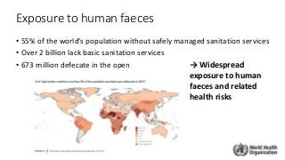 Exposure to human faeces
• 55% of the world’s population without safely managed sanitation services
• Over 2 billion lack basic sanitation services
• 673 million defecate in the open → Widespread
exposure to human
faeces and related
health risks
 