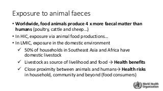 Exposure to animal faeces
• Worldwide, food animals produce 4 x more faecal matter than
humans (poultry, cattle and sheep…)
• In HIC, exposure via animal food productions...
• In LMIC, exposure in the domestic environment
 50% of households in Southeast Asia and Africa have
domestic livestock
 Livestock as source of livelihood and food → Health benefits
 Close proximity between animals and humans→ Health risks
in household, community and beyond (food consumers)
 