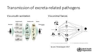 Transmission of excreta-related pathogens
Via unsafe sanitation Via animal faeces
Source: Penakalapati 2017
 