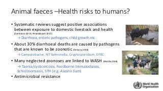 Animal faeces –Health risks to humans?
• Systematic reviews suggest positive associations
between exposure to domestic livestock and health
(Zambrano 2014, Penakalapati 2017)
→ Diarrhoea, enteric pathogens, child growth etc.
• About 30% diarrhoeal deaths are caused by pathogens
that are known to be zoonotic (Delaroy 2018)
→ Campylobacter, NT Salmonella, Cryptosporidium, EPEC
• Many neglected zoonoses are linked to WASH (Matilla 2018)
→ Taenia/cysticercosis, Foodborne trematodiases,
Schistosomiasis, STH (e.g. Ascaris Sum)
• Antimicrobial resistance
 