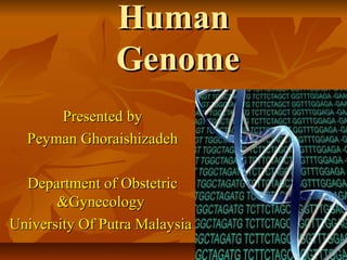 Human
                Genome
      Presented by
  Peyman Ghoraishizadeh

  Department of Obstetric
       &Gynecology
University Of Putra Malaysia
 