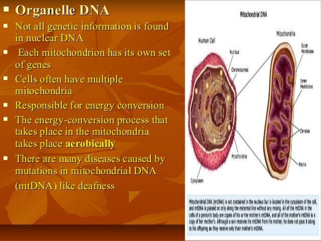 Human Genome Project
