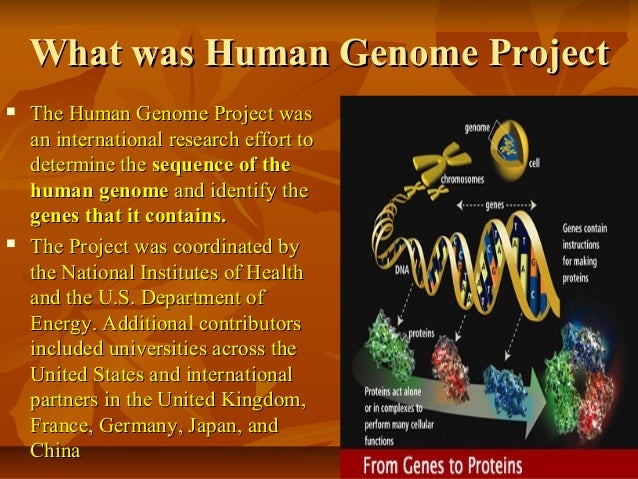 what is the human genome project