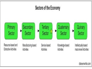 HUMAN ACTIVITIES primary secondary tertiary.pptx