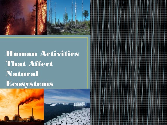 Human Activities And Impact On Environment
