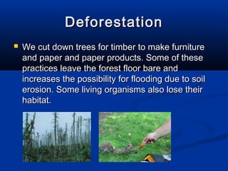 DeforestationDeforestation
 We cut down trees for timber to make furnitureWe cut down trees for timber to make furniture
and paper and paper products. Some of theseand paper and paper products. Some of these
practices leave the forest floor bare andpractices leave the forest floor bare and
increases the possibility for flooding due to soilincreases the possibility for flooding due to soil
erosion. Some living organisms also lose theirerosion. Some living organisms also lose their
habitat.habitat.
 