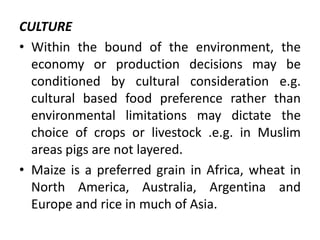 CULTURE
• Within the bound of the environment, the
economy or production decisions may be
conditioned by cultural consideration e.g.
cultural based food preference rather than
environmental limitations may dictate the
choice of crops or livestock .e.g. in Muslim
areas pigs are not layered.
• Maize is a preferred grain in Africa, wheat in
North America, Australia, Argentina and
Europe and rice in much of Asia.
 