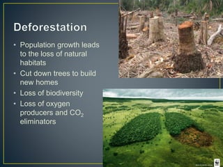 • Population growth leads
to the loss of natural
habitats
• Cut down trees to build
new homes
• Loss of biodiversity
• Loss of oxygen
producers and CO2
eliminators
 