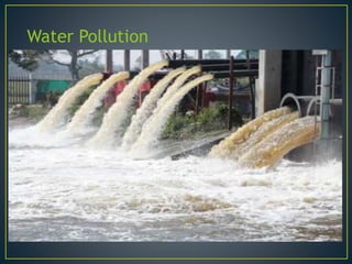 Water Pollution
 
