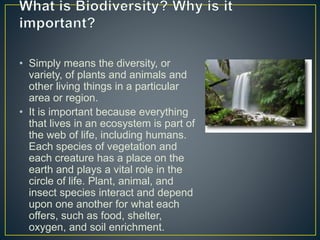 • Simply means the diversity, or
variety, of plants and animals and
other living things in a particular
area or region.
• It is important because everything
that lives in an ecosystem is part of
the web of life, including humans.
Each species of vegetation and
each creature has a place on the
earth and plays a vital role in the
circle of life. Plant, animal, and
insect species interact and depend
upon one another for what each
offers, such as food, shelter,
oxygen, and soil enrichment.
 